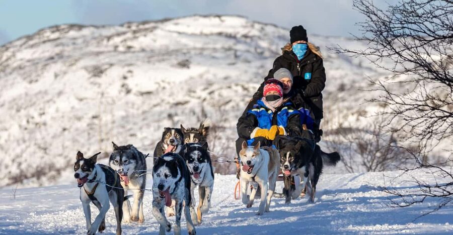 Rovaniemi: Santa's Village, Husky, & Reindeer Sled Ride - Reindeer sleigh rides through the countryside