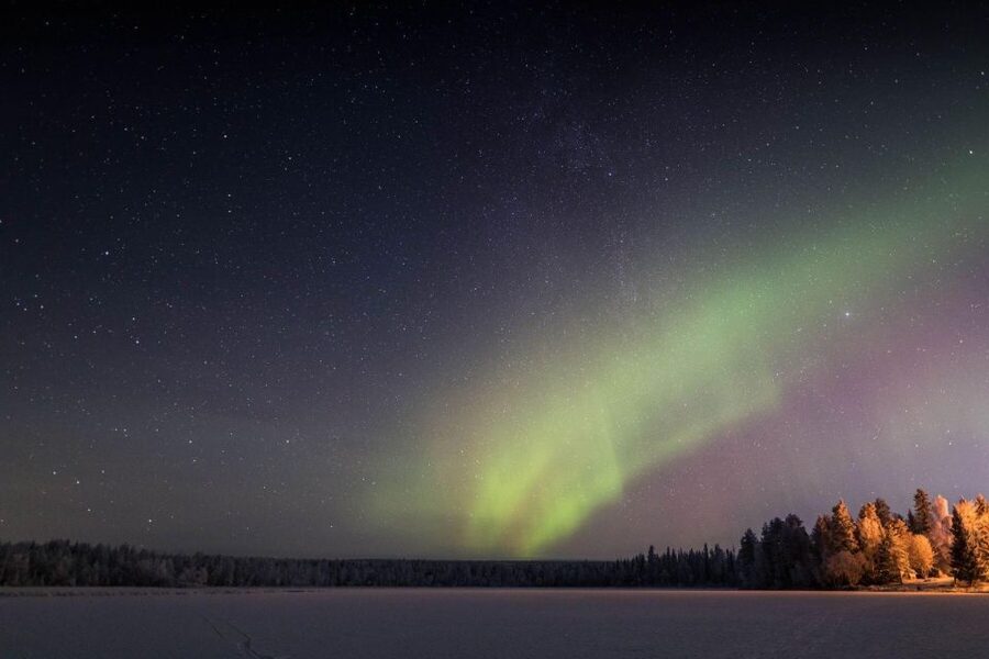 Rovaniemi: Sauna & Ice Swimming Tour with Dinner and Aurora - A 30-minute ride from Rovaniemi to the forest