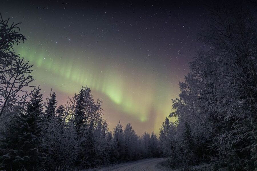Rovaniemi: Sauna & Ice Swimming Tour with Dinner and Aurora - Fire, salmon, and a warm Finnish meal