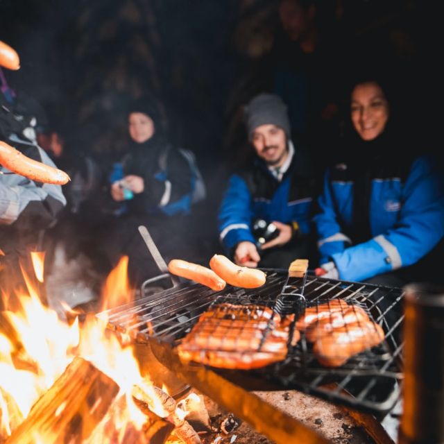 Rovaniemi: Search for Northern Lights Snowmobiling Trip - Sharing a snowmobile, or paying for your own