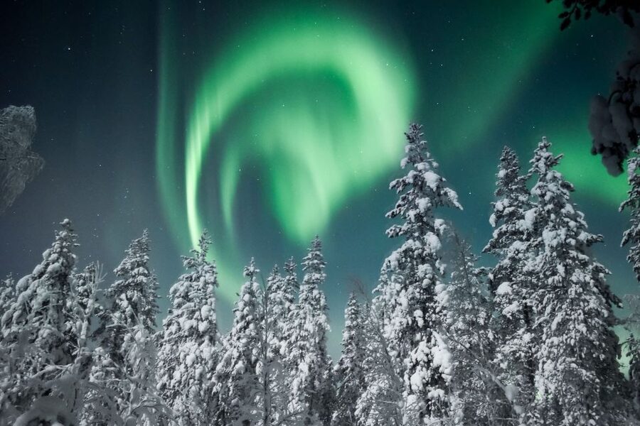 Rovaniemi: Search for Northern Lights Snowmobiling Trip - Why the small group size improves the ride