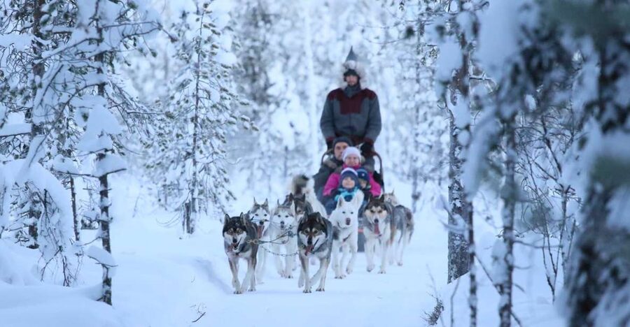 Rovaniemi: Self-Drive Husky Sleigh Ride Adventure - Following the 5km trail through frozen scenery