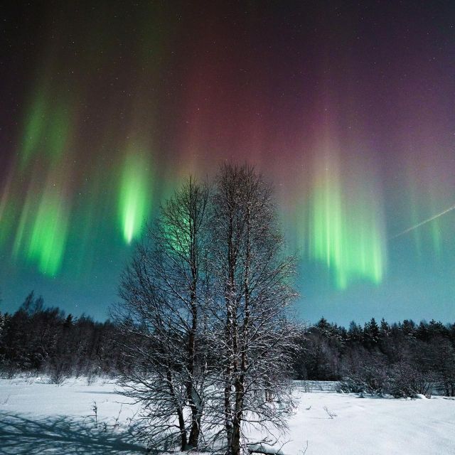 Rovaniemi: Small Group Aurora Hunt-full money back guarantee - How long the night can run