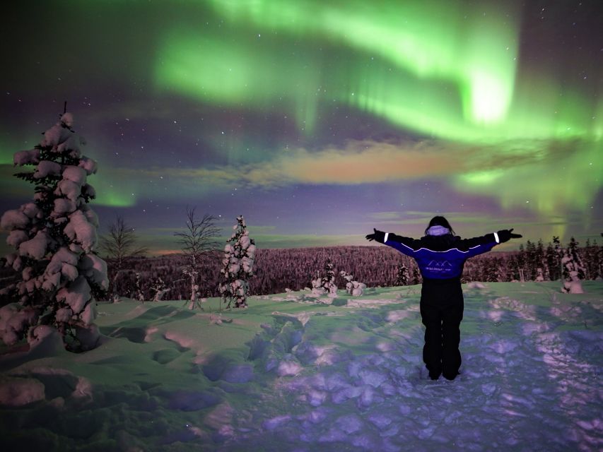 Rovaniemi: Small-Group Northern Lights Wilderness Tour - Leaving Rovaniemi for the dark Finnish wilderness