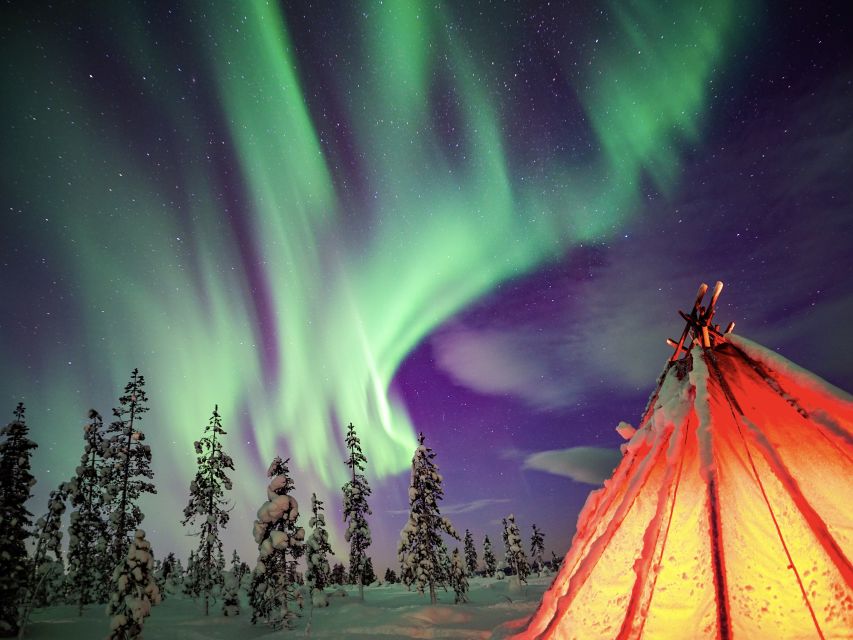 Rovaniemi: Small-Group Northern Lights Wilderness Tour - The campfire is more than a backup plan