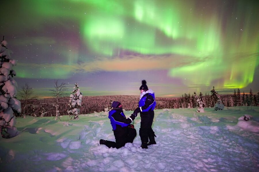 Rovaniemi: Small-Group Northern Lights Wilderness Tour - What the $136 price buys you