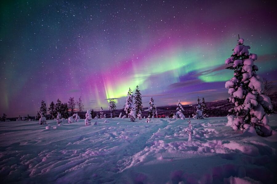 Rovaniemi: Small-Group Northern Lights Wilderness Tour - Who should book this four-hour outing