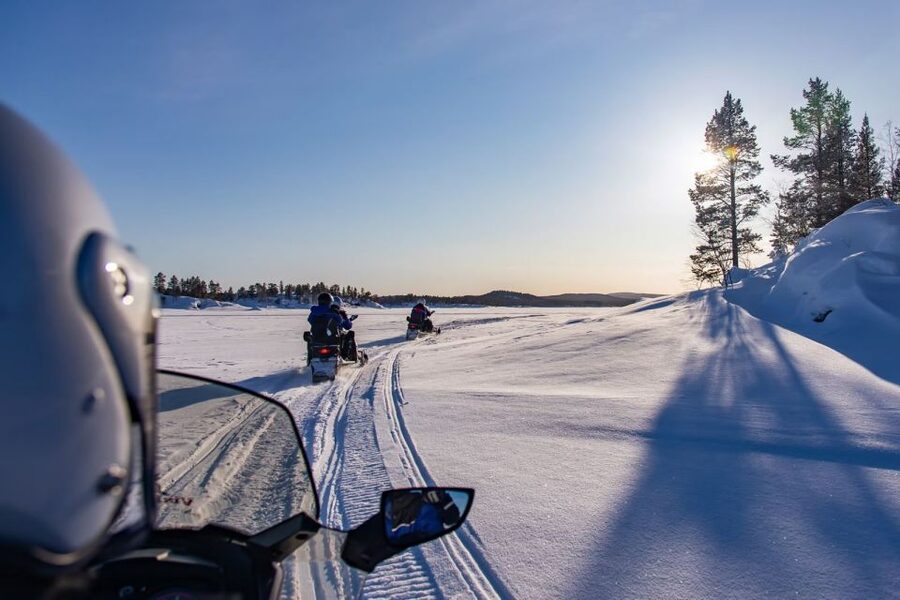 Rovaniemi: Snowmobile Safari Adventure - From central Rovaniemi to the Arctic Circle forest