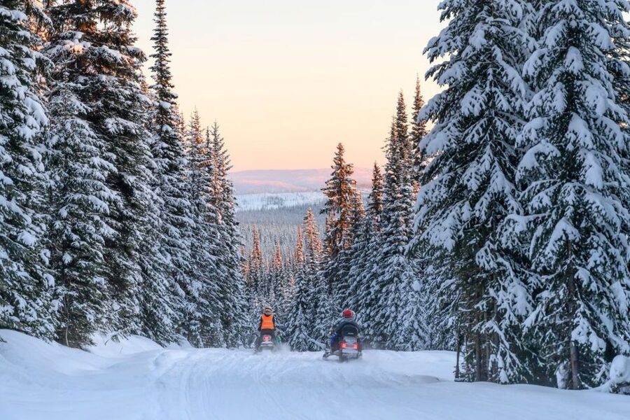 Rovaniemi: Snowmobile Safari Adventure - Hot blueberry juice and a practical finish