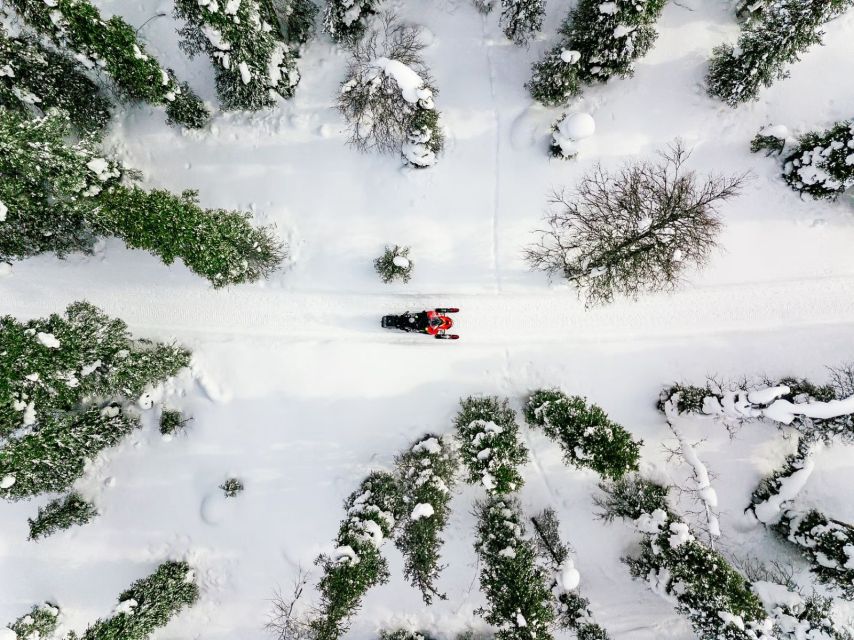 Rovaniemi: Snowmobile Safari Adventure - Learning the controls before the ride