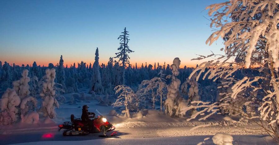 Rovaniemi: Snowmobile Safari & Campfire Evening Escape - The campfire in the black forest