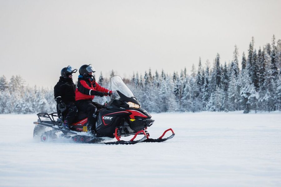 Rovaniemi: Snowmobile Safari in the Arctic Circle - Two hours through Rovaniemi’s snowy forests