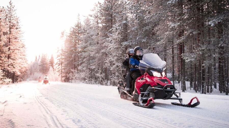 Rovaniemi: Snowmobile Safari into the Arctic Circle Forest - Key points to know before booking
