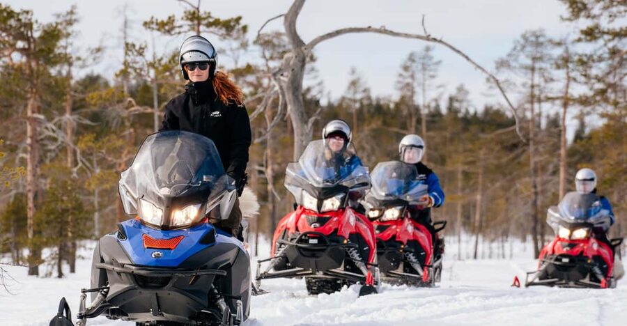 Rovaniemi: Snowmobile Safari into the Wilderness - Riding through pine forest and frozen marshes