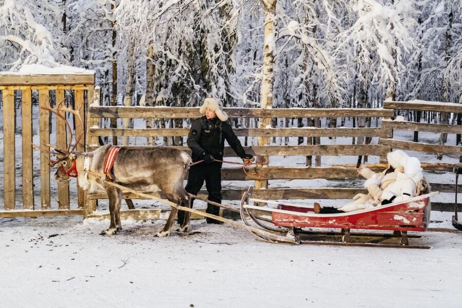 Rovaniemi: Snowmobile Safari, Reindeer & Husky Sleigh Ride - A slower look at reindeer and Sámi traditions