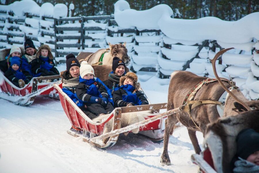 Rovaniemi: Snowmobile Safari to a Reindeer Farm - How the $222 price measures up