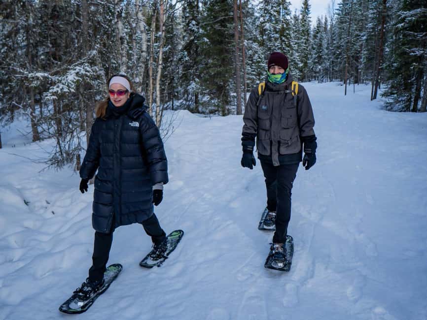 Rovaniemi: Snowshoe Adventure at Vikaköngäs & Barbeque - What the three-hour Vikaköngäs outing is really like