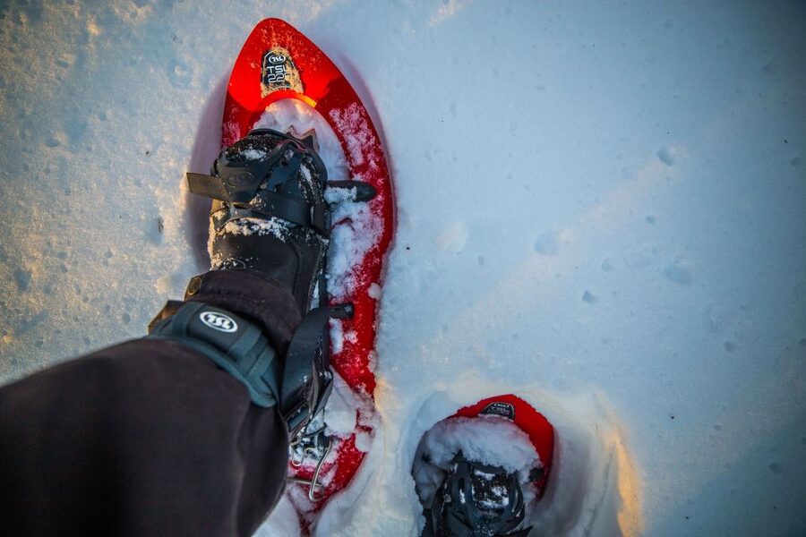Rovaniemi: Snowshoe Wilderness Adventure - What the three-hour schedule feels like