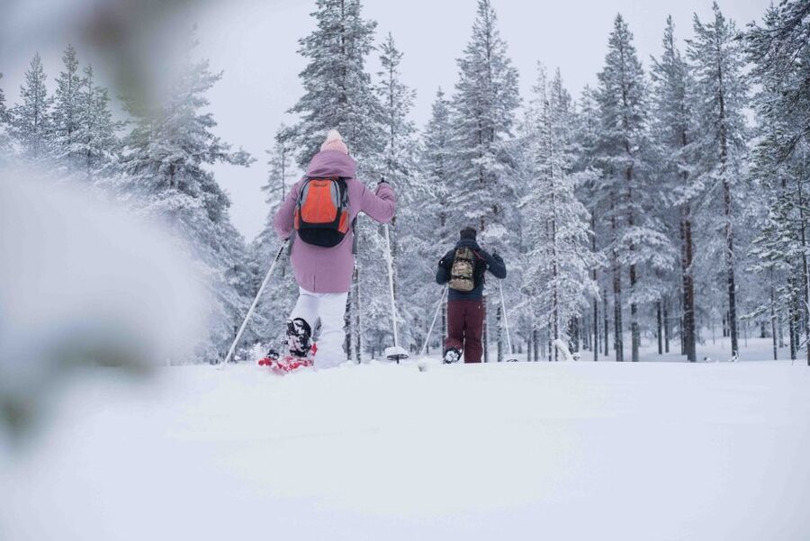 Rovaniemi: Snowshoe Wilderness Adventure - Who should book this snowshoe outing?
