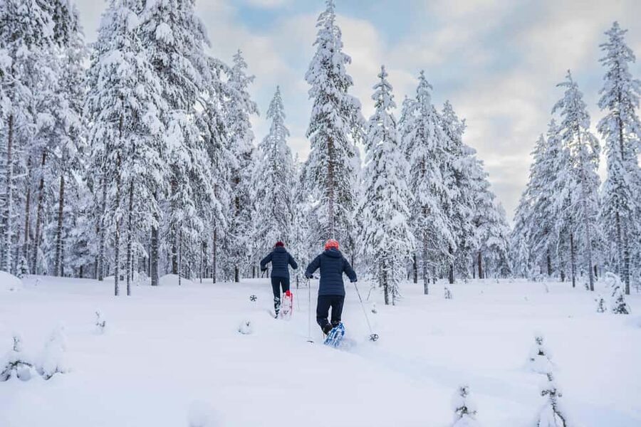 Rovaniemi: Snowshoe Wilderness Adventure - Booking details worth knowing