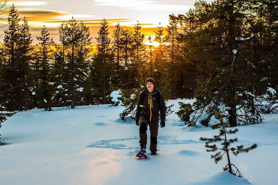 Rovaniemi: Snowshoe Wilderness Adventure - Should you book it?
