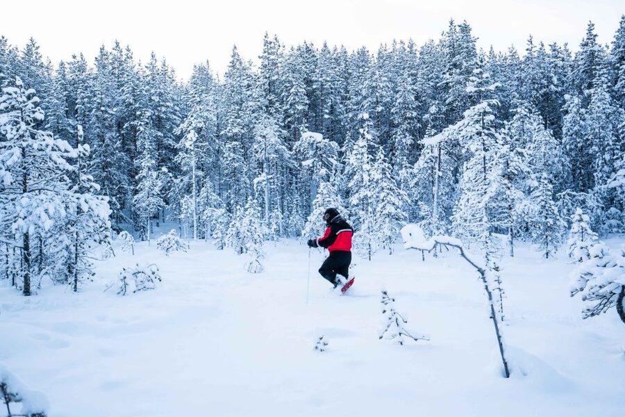 Rovaniemi: Snowshoe Wilderness Adventure - A photography lesson with room to experiment