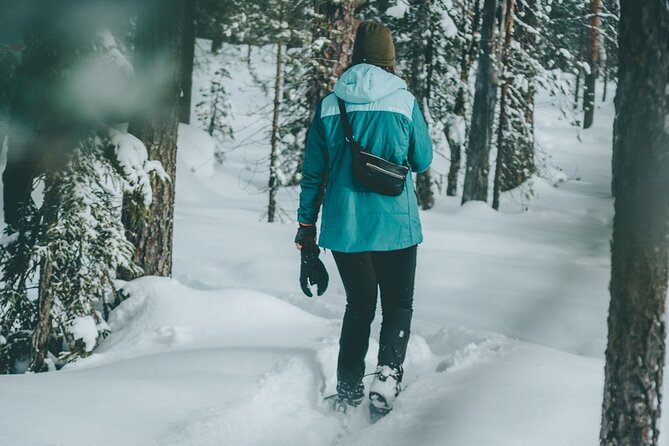 Rovaniemi: Snowshoeing in a magical snowy forest - Key points to know before you book
