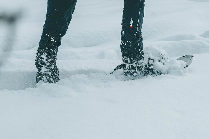 Rovaniemi: Snowshoeing in a magical snowy forest - What the 9:00 am start means