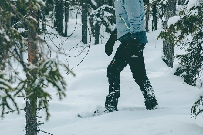Rovaniemi: Snowshoeing in a magical snowy forest - A fire, sausages, and hot juice