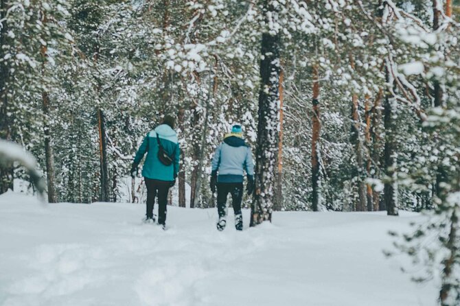Rovaniemi: Snowshoeing in a magical snowy forest - The value of a $98.33 half-day