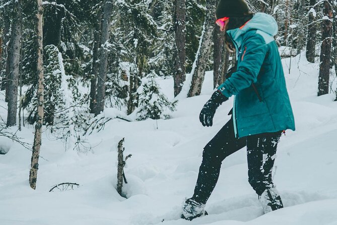 Rovaniemi: Snowshoeing in a magical snowy forest - Weather, clothing, and practical planning
