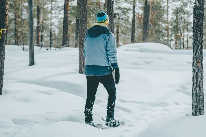 Rovaniemi: Snowshoeing in a magical snowy forest - The 1.5-hour walk through the taiga