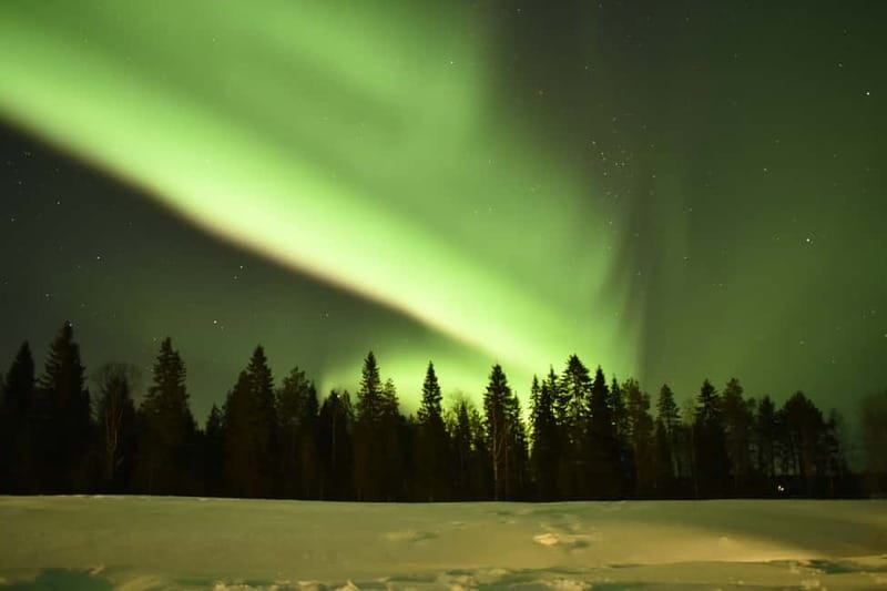 Rovaniemi: Snowtrain to Northern Lights Camp - A short walk beneath moonlight and stars