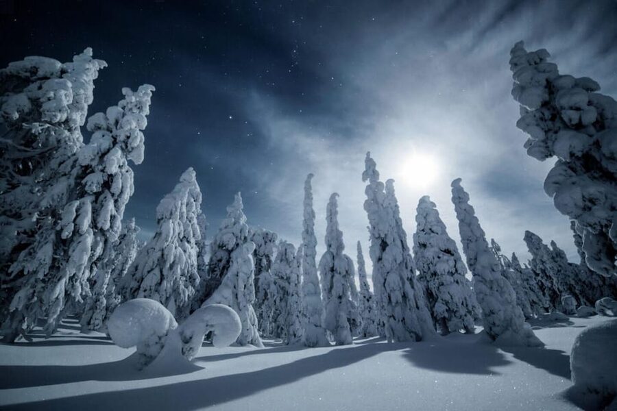 Rovaniemi: Snowy Forest Night Hike with Northern Lights - Key points at a glance