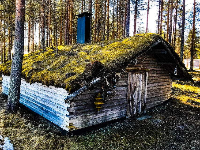 Rovaniemi: Summer Reindeer Farm Experience - Leaving Rovaniemi for the summer countryside