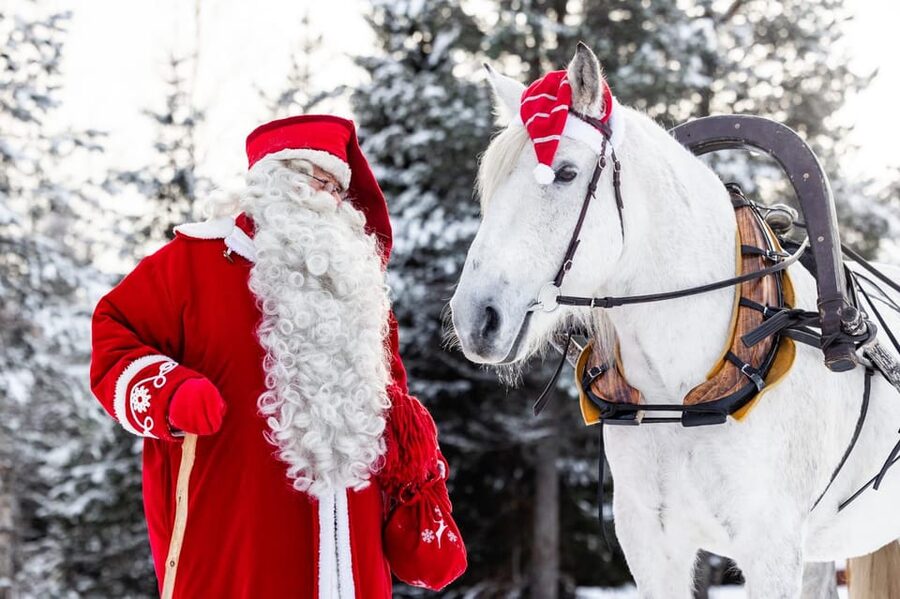 Rovaniemi: Traditional Finnhorse Sleigh Ride at SCV (3km) - A quiet Finnhorse ride in the woods