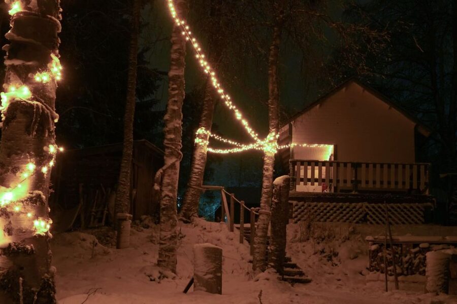 Rovaniemi: Traditional Sauna and Ice Swimming Experience - Key points to know before booking