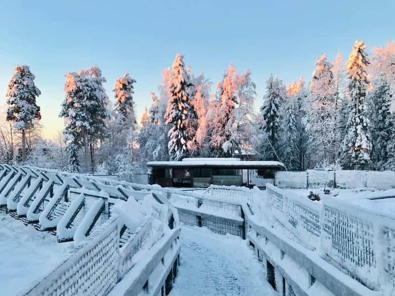 Rovaniemi: Trip to Ranua Zoo with Tickets - How to make the most of your time