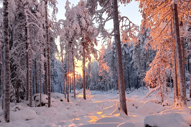 Rovaniemi: Trip to Ranua Zoo with Tickets Included - Practical Details That Can Save You Trouble