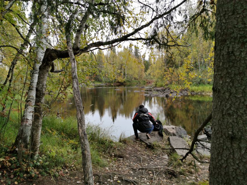 Rovaniemi: Vaattunki Hiking Arctic Circle Trail - Key points to know before you book