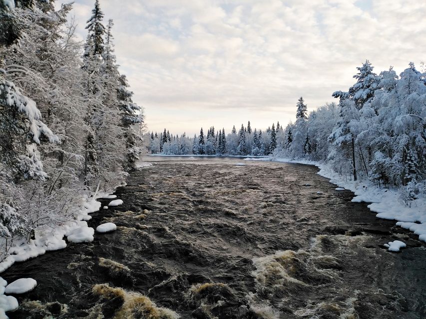 Rovaniemi: Vaattunki Hiking Arctic Circle Trail - Practical details that can shape your day