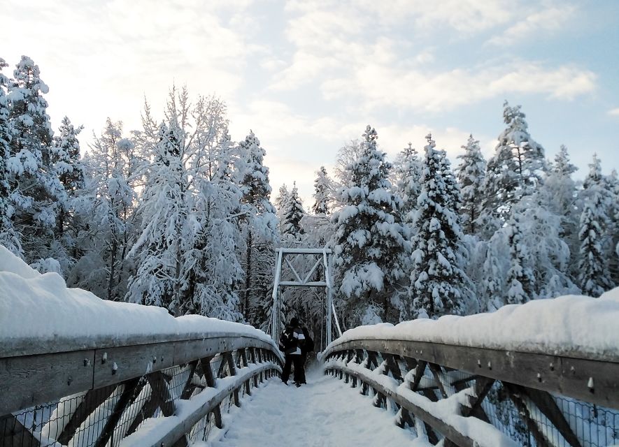 Rovaniemi: Vaattunki Hiking Arctic Circle Trail - Crossing the Arctic Circle on foot