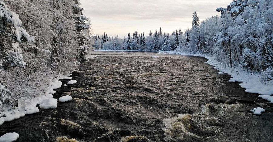 Rovaniemi: Vaattunki Hiking Arctic Circle Trail - Sausages and warm drinks beside the fire