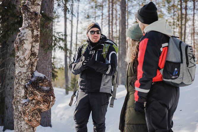 Rovaniemi - Visit to The Frozen Waterfalls of Korouoma - What the small group changes