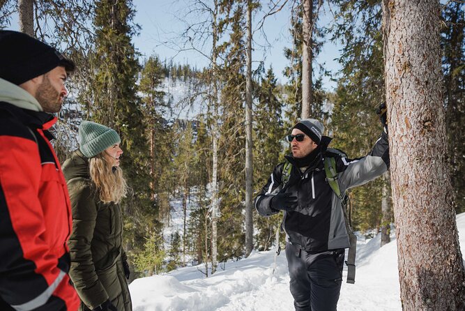 Rovaniemi - Visit to The Frozen Waterfalls of Korouoma - Is the price good value?