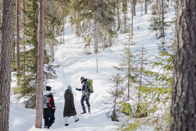 Rovaniemi - Visit to The Frozen Waterfalls of Korouoma - Leaving Rovaniemi at 9:00 am