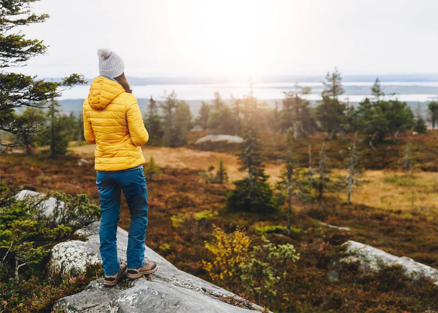 Rovaniemi: Wild Moose Safari - Searching for Finland’s forest king