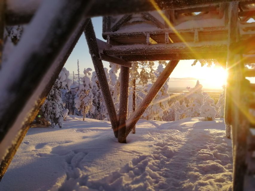 Rovaniemi: Wilderness Tour - Who should book this experience?