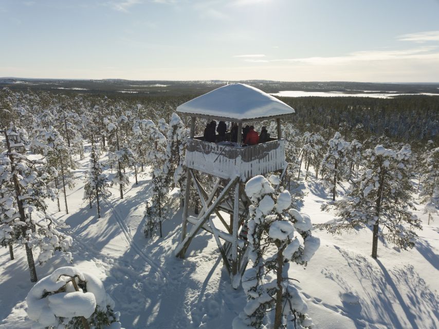 Rovaniemi: Wilderness Tour - Summer forests with a fairytale feel