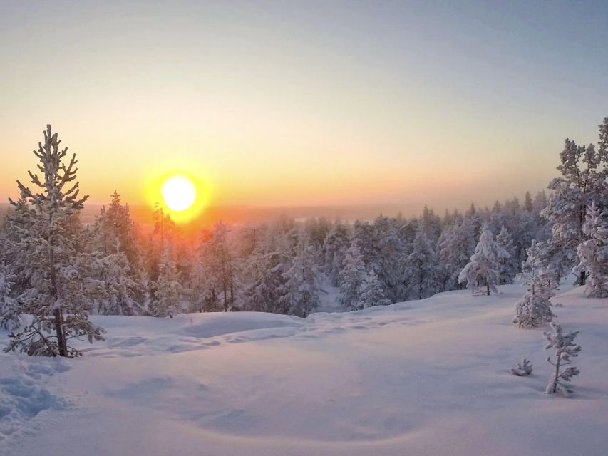 Rovaniemi: Wilderness Tour - Is $104 a fair price?